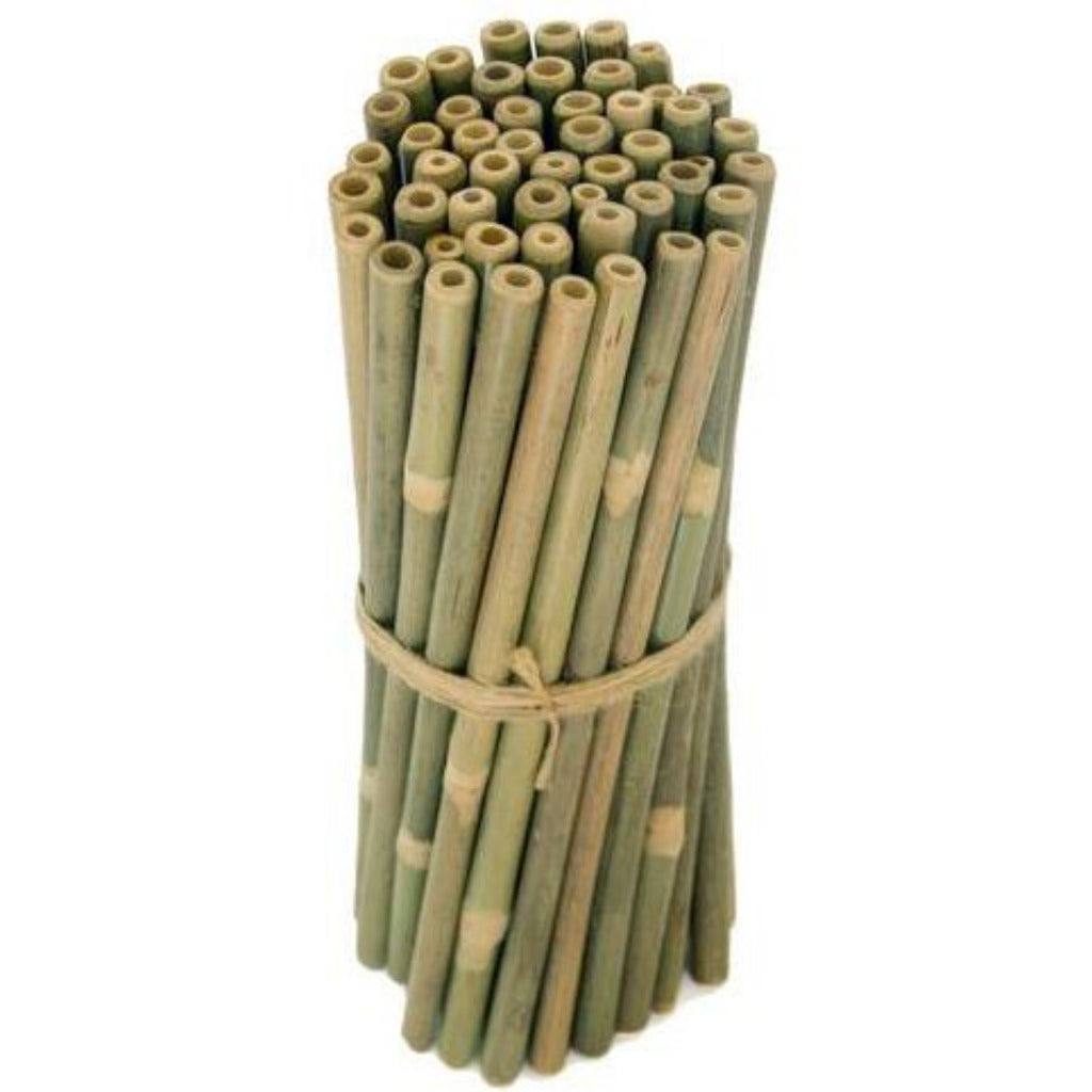 Bombillas Bambú-Natugo