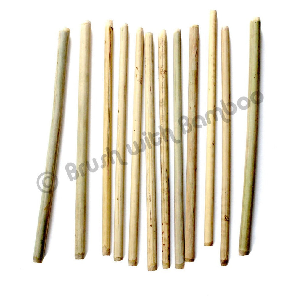 Brush with Bamboo Bombilla Bambú Bombillas para Smoothie Bambú Extra Grande