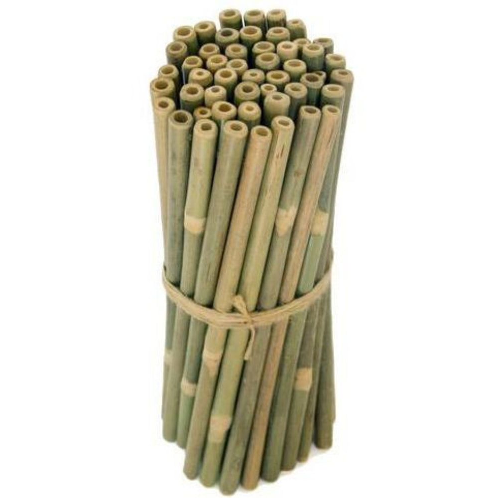 Brush with Bamboo Bombilla Bambú 25 Unidades Bombillas para Smoothie Bambú Extra Grande