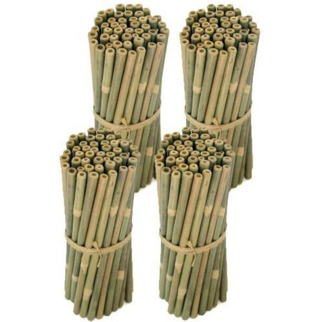 Brush with Bamboo Bombilla Bambú 100 Unidades Bombillas para Smoothie Bambú Extra Grande