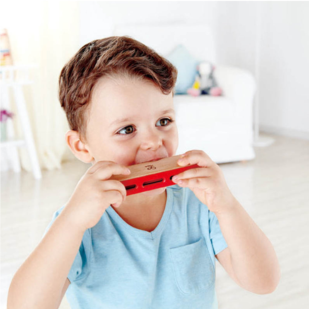 Hape Juguete Harmónica de Blues