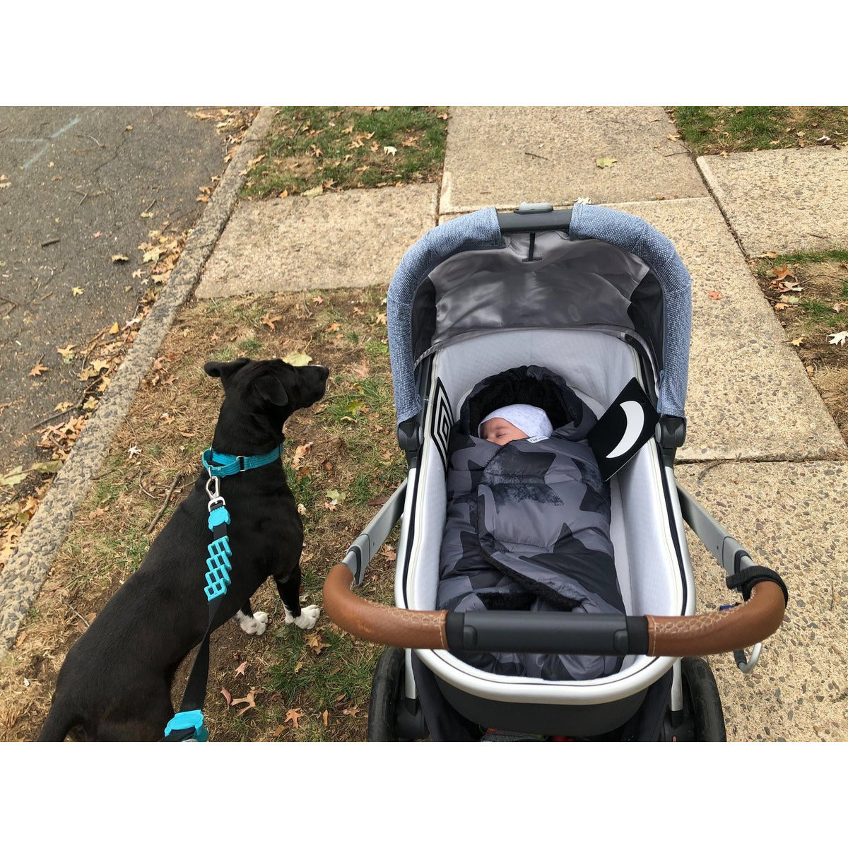 7am Accesorio Nido Velour- Negro