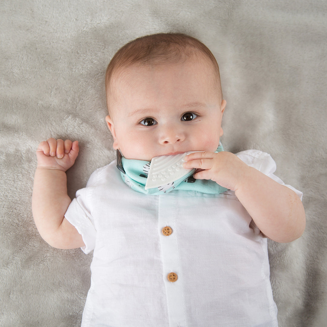 Cheeky Chompers Set Set Recién Nacido 100% Orgánico- Zebra Dreams